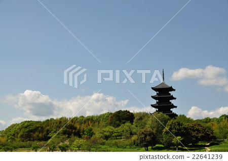 備中國分寺 備中國分寺 22641239