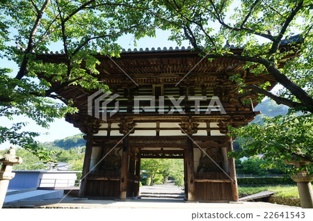 [National Treasure] Chohoji Daimon early summer scenery, Kainan City, Wakayama Prefecture 22641543