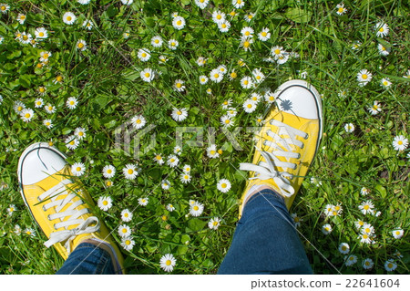 Yellow sneakers in a dasiy field. First person view Yellow sneakers in a dasiy field. First person view 22641604