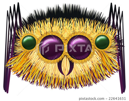 Huge hairy spider Huge hairy spider 22641631