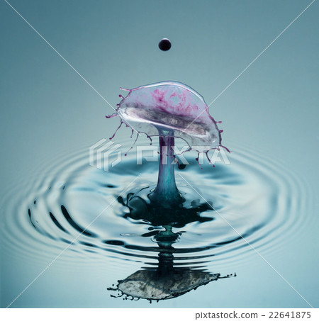 Mauve Venus Flytrap 22641875