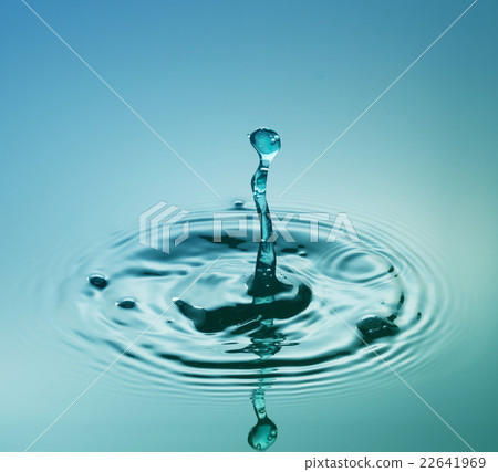 Turquoise Worm Turquoise Worm 22641969