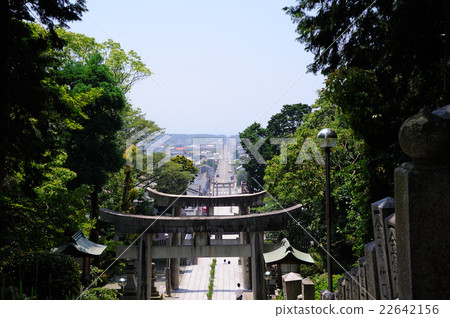 Miyaji Dake Shrine的江戶虹膜 Miyaji Dake Shrine的江戶虹膜 22642156