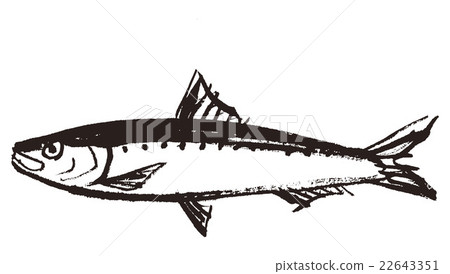 Sardines 22643351