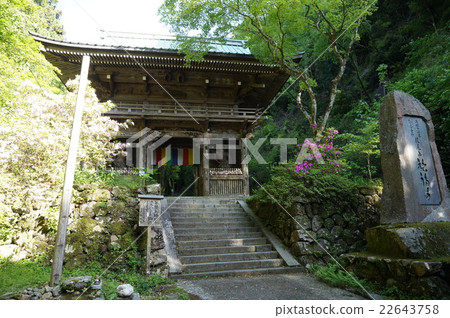 [Saigoku Kannon Pilgrimage] No. 4, Sefukuji Temple, a sunny fresh green Niomon, Izumi City, Osaka Prefecture 22643758