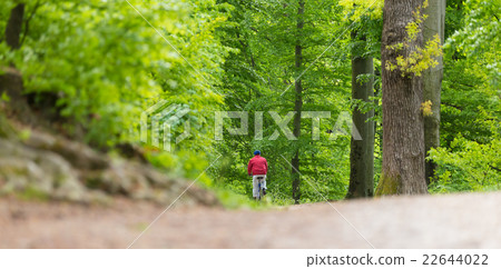 Cyclist Riding Bycicle on Forest Trail. Cyclist Riding Bycicle on Forest Trail. 22644022