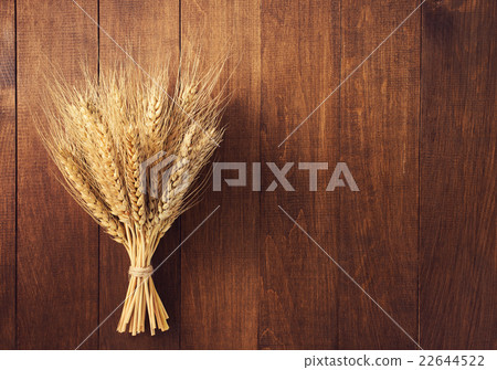 ears of wheat on wood 22644522