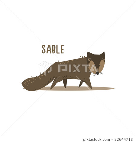 Sable Vector Illustration Sable Vector Illustration 22644718