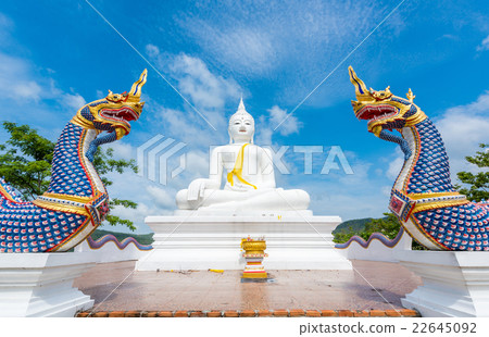 White Buddha statue and serpent in Wat Chom tham White Buddha statue and serpent in Wat Chom tham 22645092