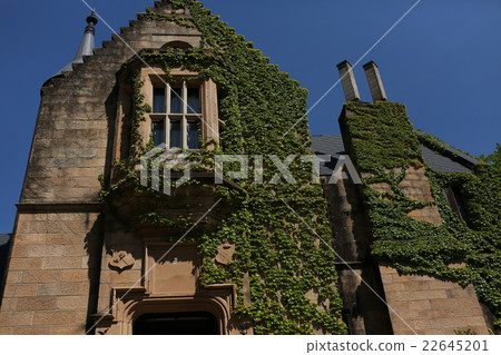 Lockheart Castle 22645201