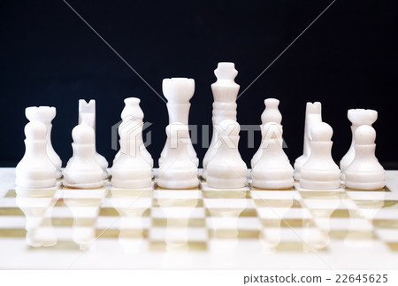 Chess Game Set Chess Game Set 22645625