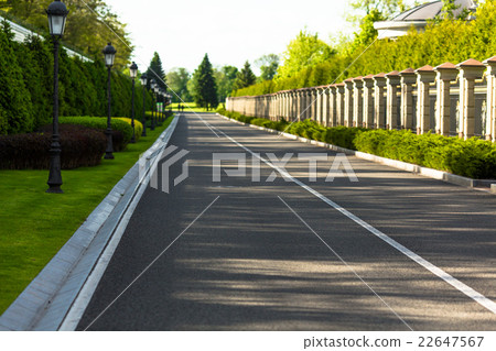 Forest or park road 22647567