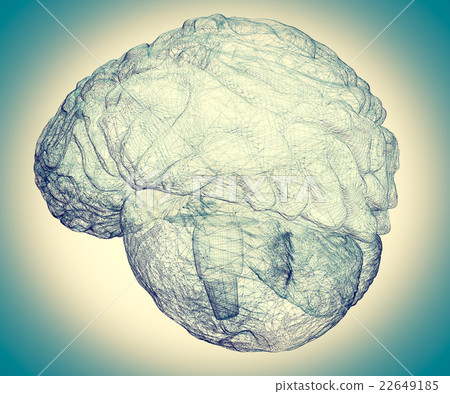 human brain 22649185