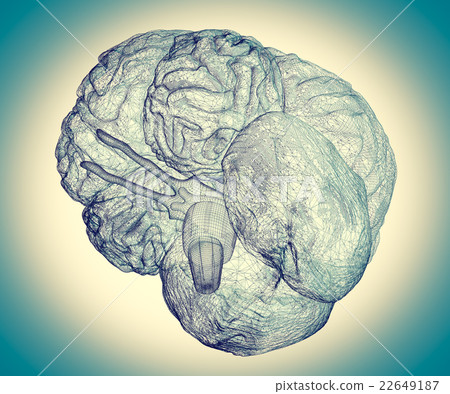 human brain human brain 22649187