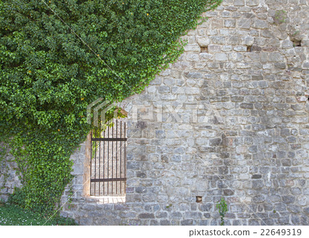 Background of stone wall and ivy Background of stone wall and ivy 22649319