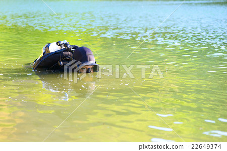 diver woman in the water diver woman in the water 22649374