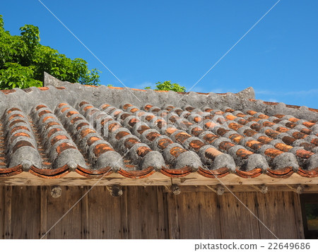 紅色瓦和私人住宅夏天天空屋頂在竹富島，沖繩島 22649686