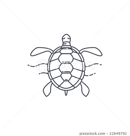 Turtle line icon 22649791