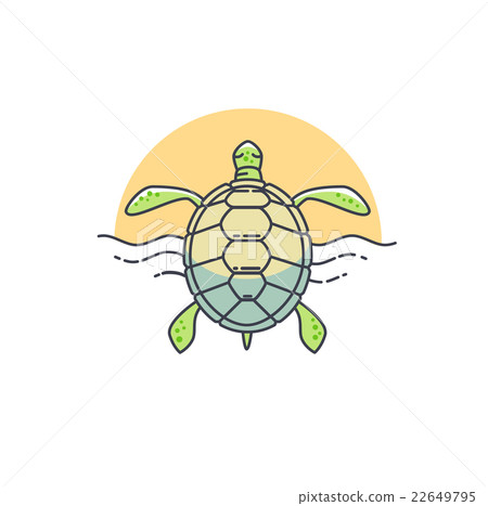 圖庫插圖: vector turtle icon.