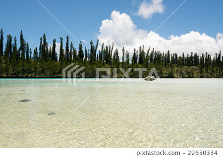 Pischenne Naturrel (New Caledonia, Ille des bains) 22650334