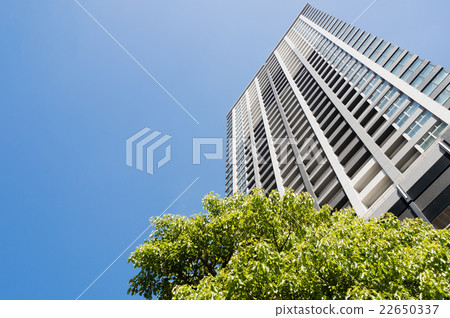 Tower Mansion 22650337