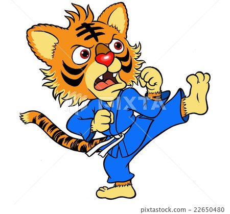 空手道小子 22650480