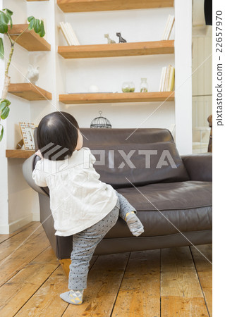 1年2個月 1年2個月 22657970