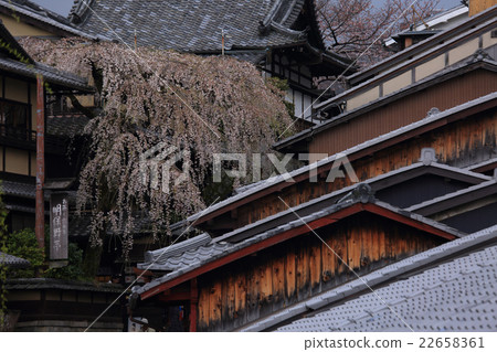 Harassment of the spring rain Harassment of the spring rain 22658361