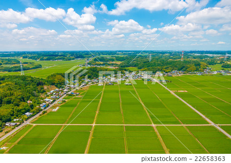 Paddy fields and clouds near Tako-cho Paddy fields and clouds near Tako-cho 22658363