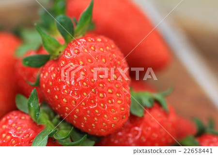 帶莖新鮮草莓 22658441