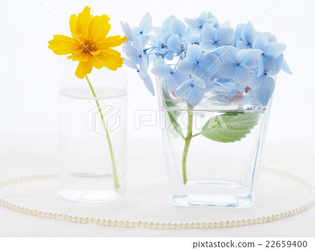 Hydrangea and quince and pearl necklace Hydrangea and quince and pearl necklace 22659400
