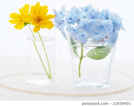 Hydrangea and quince and pearl necklace Hydrangea and quince and pearl necklace 22659401