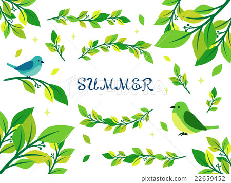 Summer green illustration collection 22659452