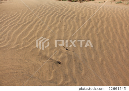 鳥取沙丘的風模式 22661245