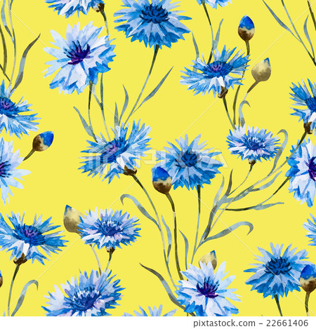Cornflower watercolor pattern 22661406