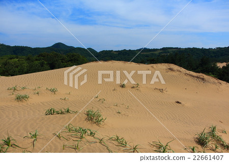 鳥取沙丘的風模式 22661407