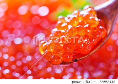 red salmon caviar red salmon caviar 22662438