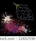 Colored outline of grape with blots, vector 22662590