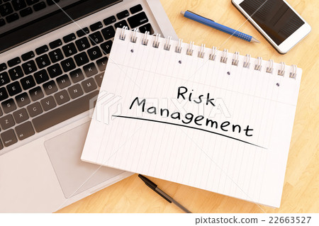 Risk Management 22663527