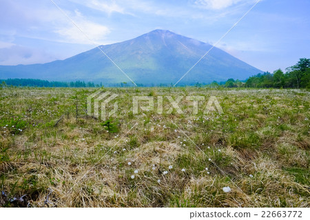 Wattsuge和Mt. 22663772