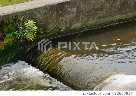 半玉米型魚道（多摩川，Bikkyo Region Ueharabara Weir，2016年5月29日） 22663934