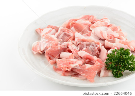 三元豬撒了 三元豬撒了 22664046