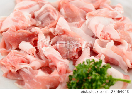 三元豬撒了 22664048