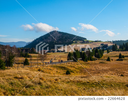 Mt. Bukovec above Jizerka village 22664628