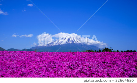 Mount Fuji Mount Fuji 22664680