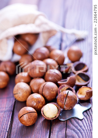 macadamia macadamia 22664795