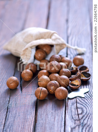 macadamia macadamia 22664798