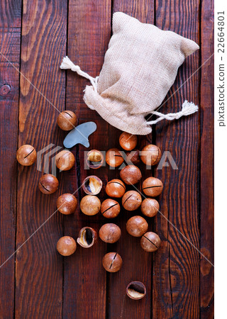 macadamia macadamia 22664801