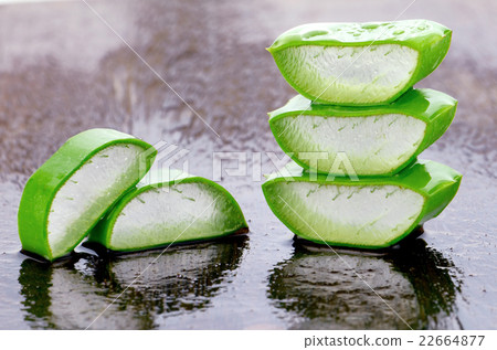 Slice Aloe Vera on Wet Wood Background. Slice Aloe Vera on Wet Wood Background. 22664877