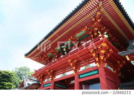 鶴岡八幡宮 鶴岡八幡宮 22666213